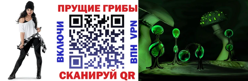 купить наркотик  Ступино  kraken зеркало  Галлюциногенные грибы мицелий 